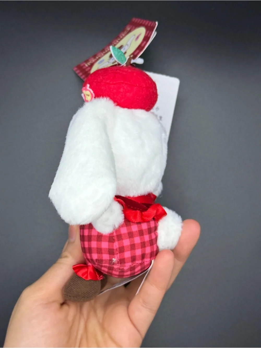 Sanrio the Autumn Apple Series Cinnamoroll plush/keychain cn36